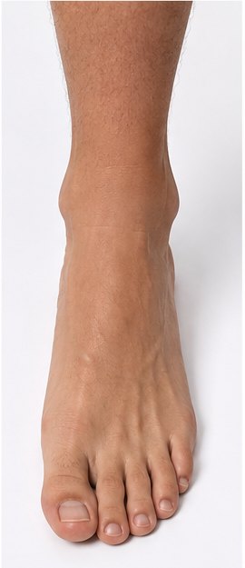 Front view of a foot and ankle showing the tappable ankle pain areas